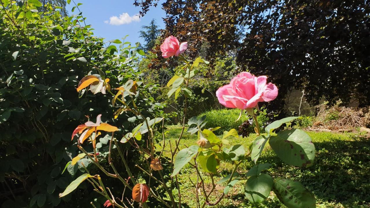 De Passage Chez Lili Bed & Breakfast โปลิญญี ภายนอก รูปภาพ